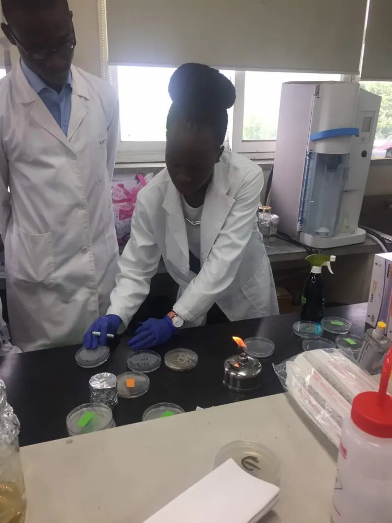 Healing the Continent: How African Biotech Founders Are Cracking Disease Codes That Big Pharma Left Behind